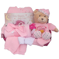 plush baby hamper pink, new baby girl hamper, new baby girl gift basket, pink baby hamper